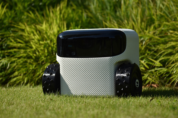 Personal robot Willow from EEVE