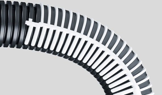 e-rib_1