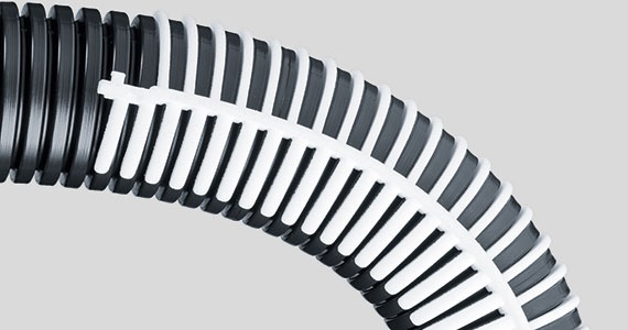 e-rib_4